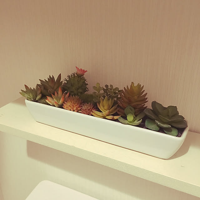 rcmatoさんの実例写真