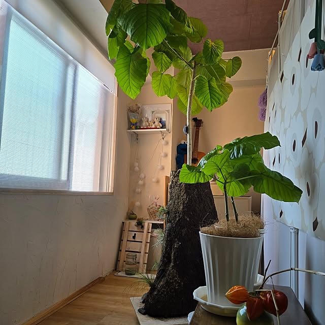 kunyさんの実例写真