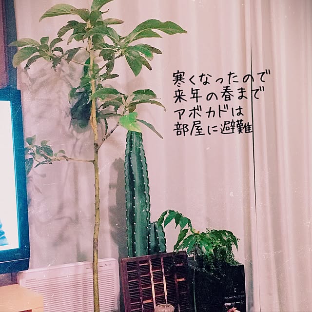 38coreさんの実例写真