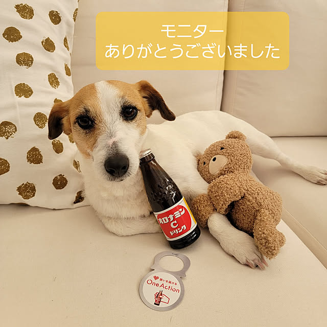 mio_ibu_1106さんの実例写真