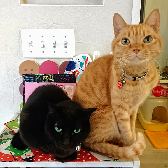 makkiiさんの実例写真