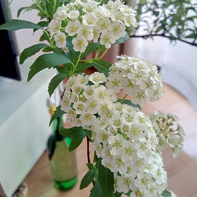 Eiさんの実例写真