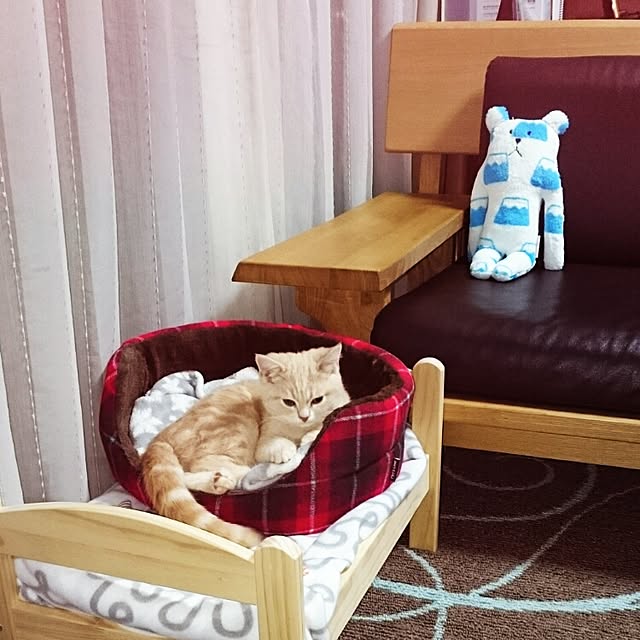 yukiさんの実例写真