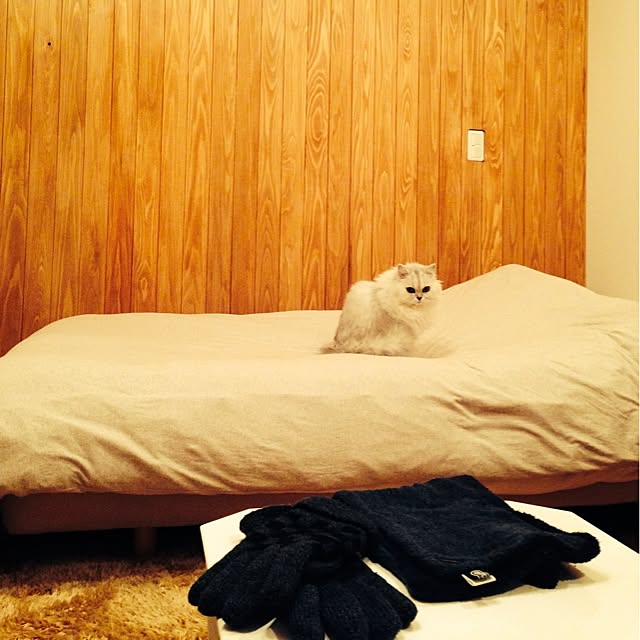 sakuさんの実例写真