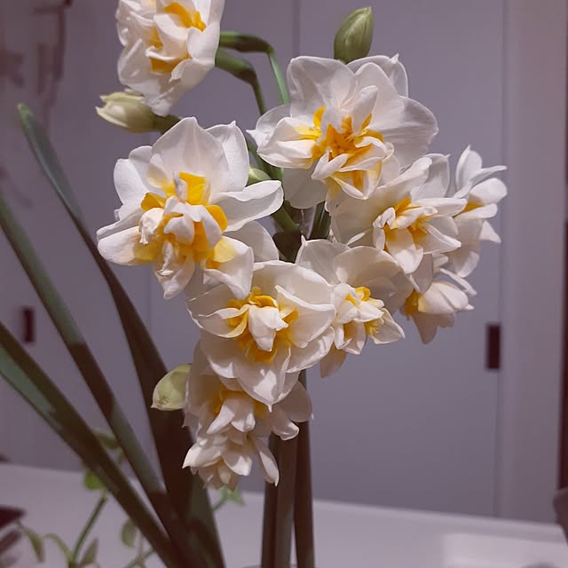 k.and-3さんの実例写真