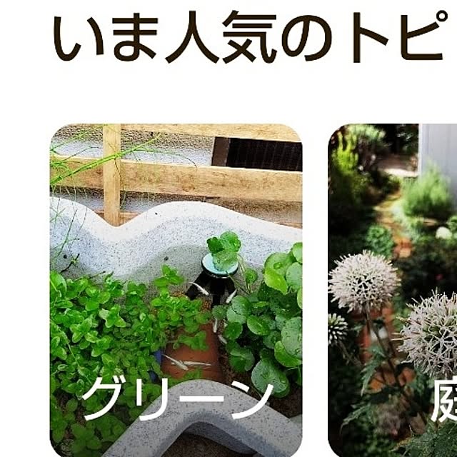 katさんの部屋