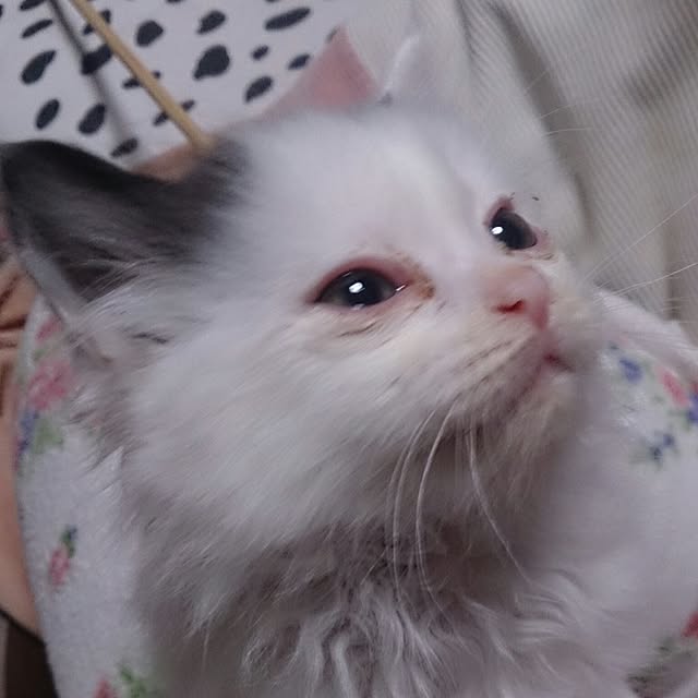 yukaさんの実例写真