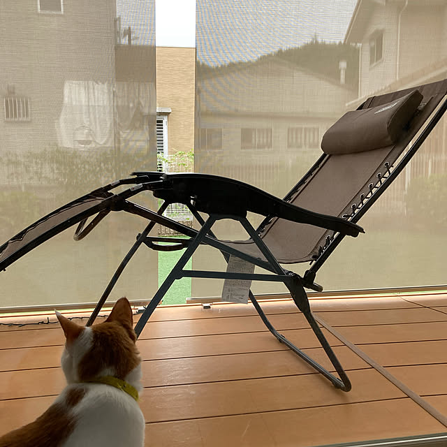 部屋全体のインテリア実例 - 2021-08-11 17:35:19
