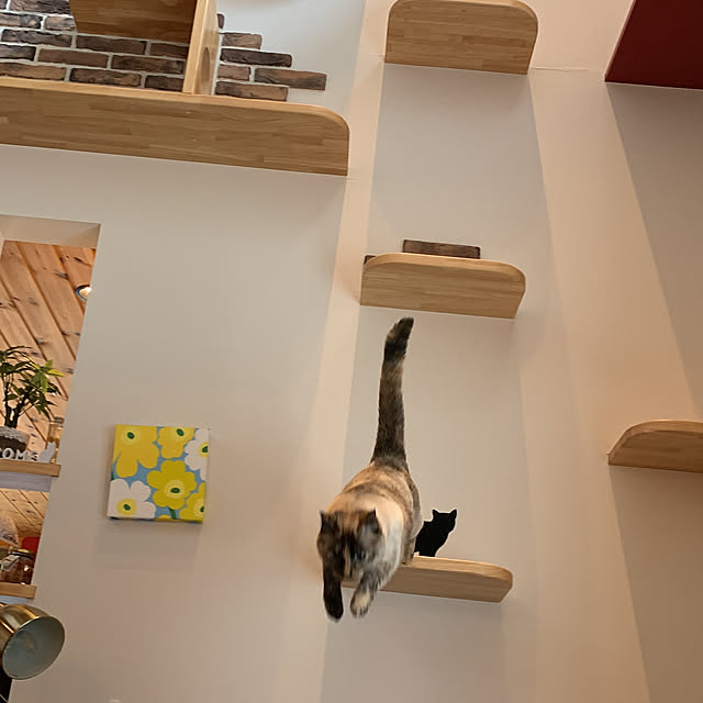 キャットタワー/輸入住宅/ねこのいる日常/北欧住宅/猫と暮らす家...などのインテリア実例 - 2022-05-14 00:22:52