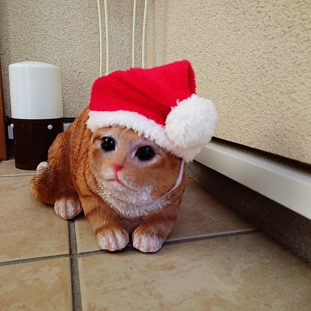 lilyさんの実例写真