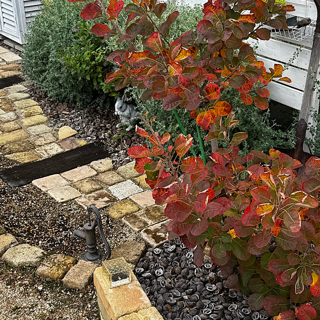 yuri.sさんの部屋