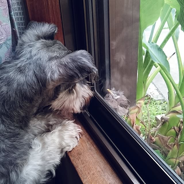 aomonさんの実例写真