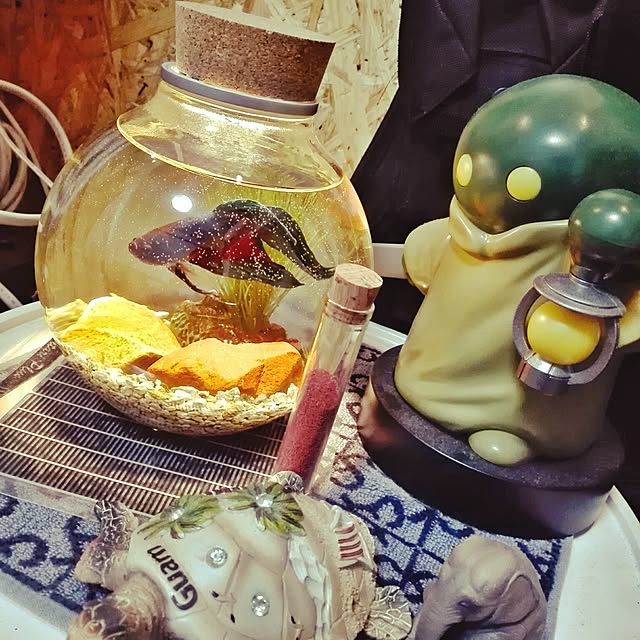 sheeeepwingさんの実例写真