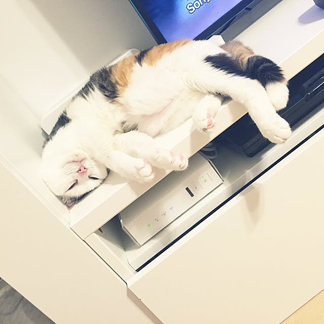 HRMLRさんの実例写真