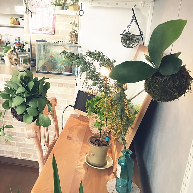 arinkoさんの実例写真