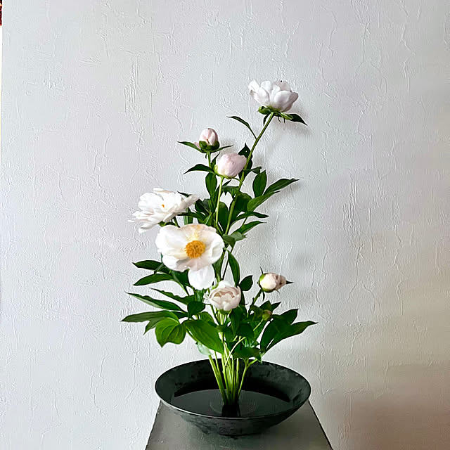 mamyuさんの部屋