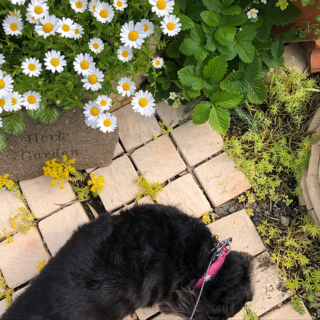 tiaraさんの実例写真