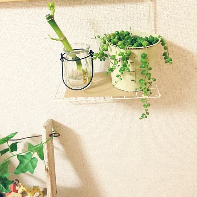 gonさんの実例写真