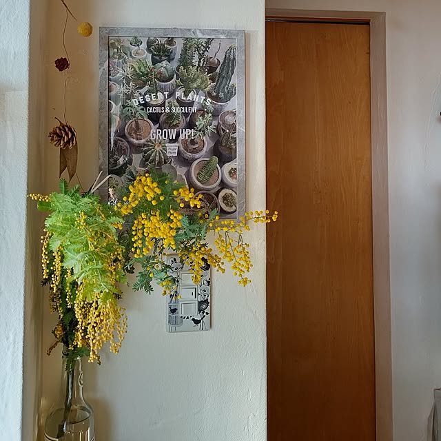 t.yumiさんの実例写真