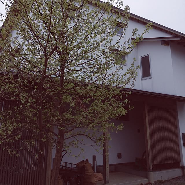 yukikoさんの実例写真