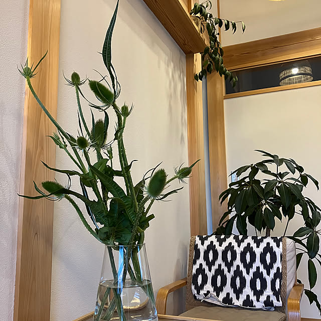 hira_muji_mihiさんの実例写真