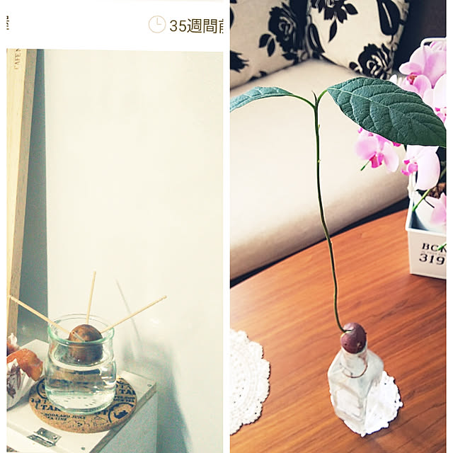 Motomeさんの実例写真