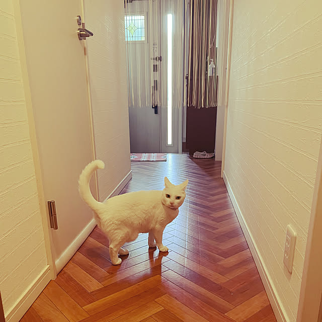 Maiさんの実例写真