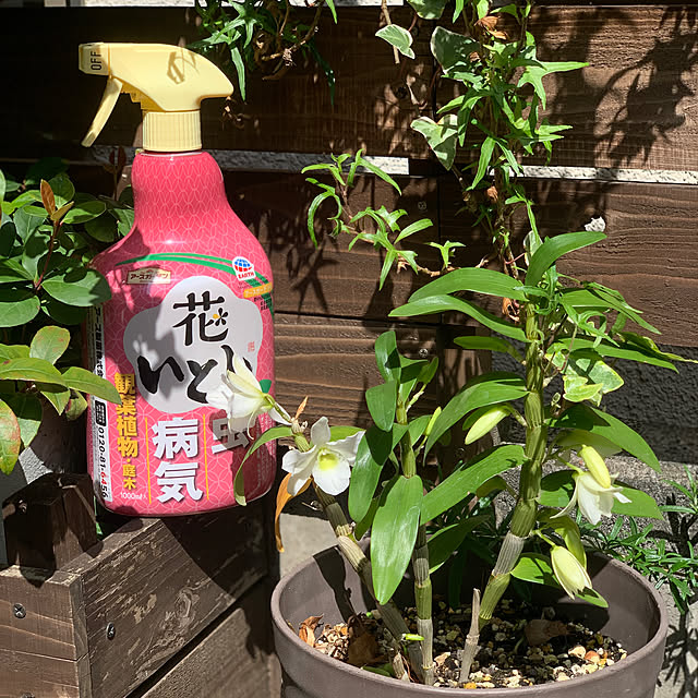 masakoさんの実例写真