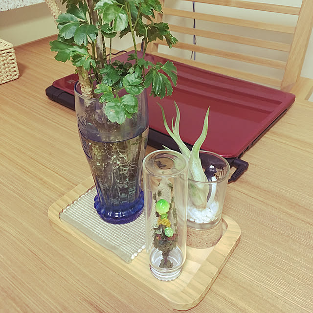 sak1_shig0101さんの実例写真