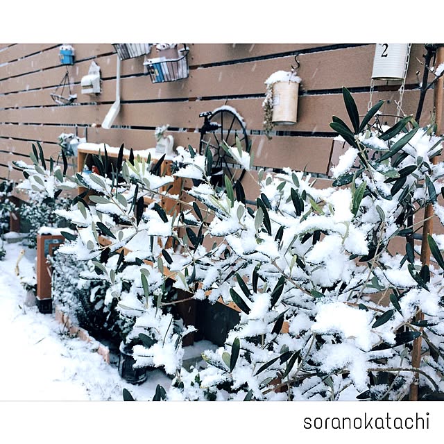soranokatachiさんの実例写真