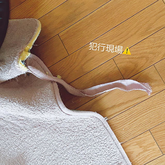 prelumoさんの部屋
