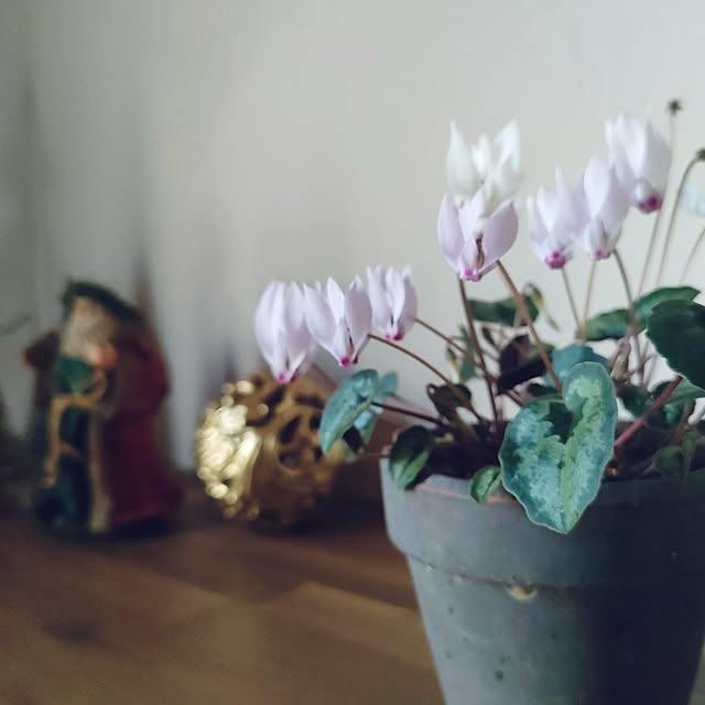 hana-さんの部屋