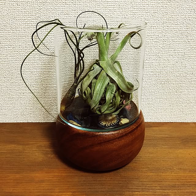 Shoさんの実例写真