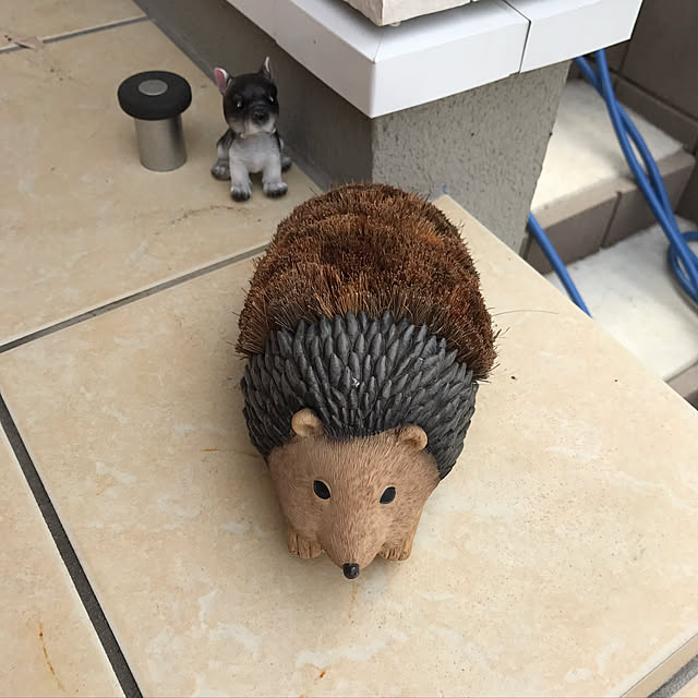Mihoさんの実例写真