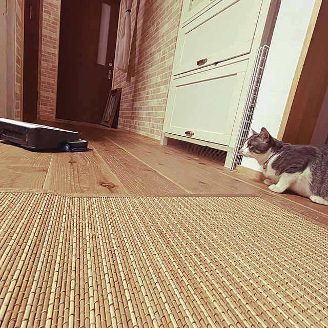 nekosamaさんの部屋