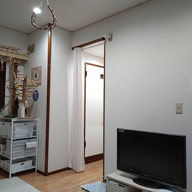 toratanさんの実例写真