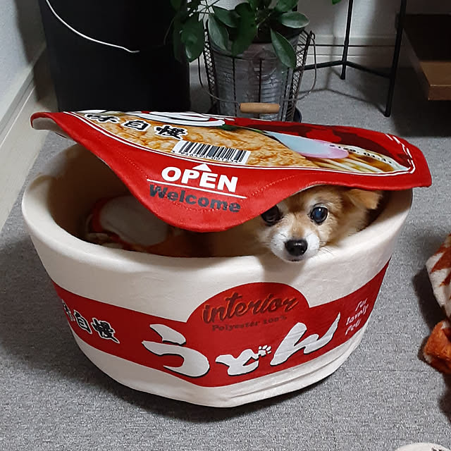 chiharuvivi7710さんの実例写真