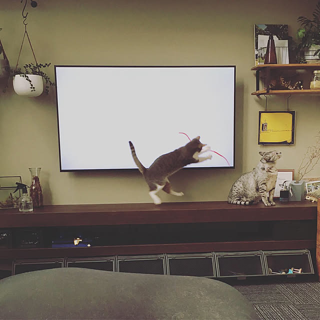 pepperさんの実例写真