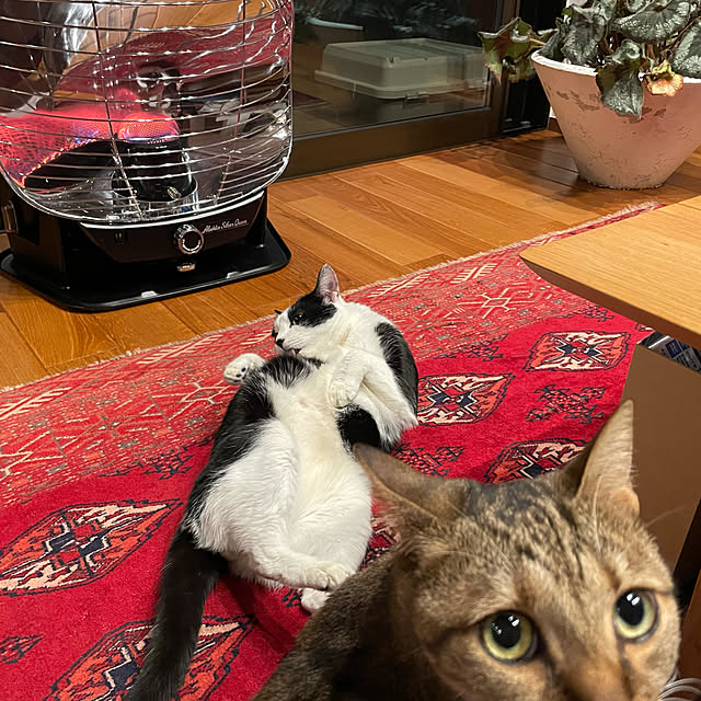 maruさんの実例写真