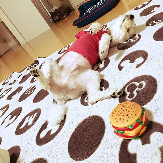 Masamiさんの実例写真