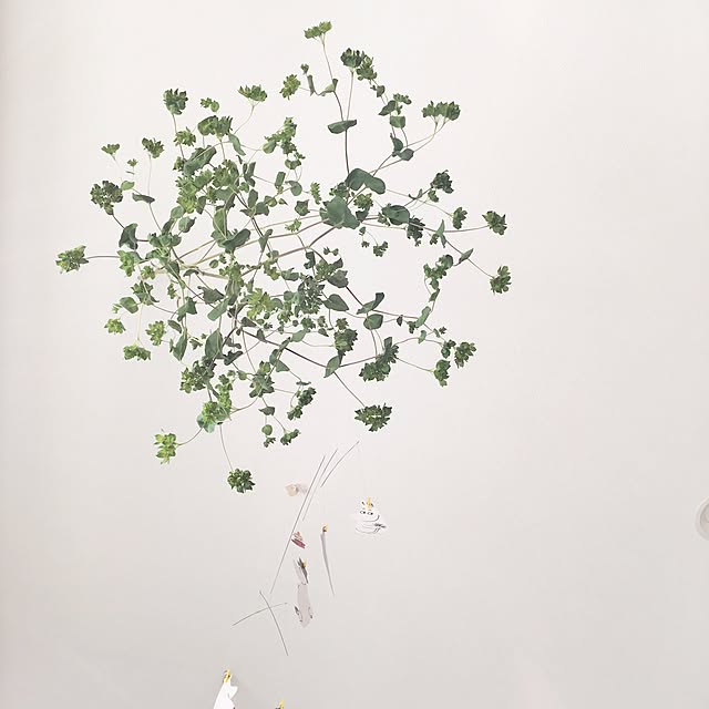kana_homeさんの実例写真
