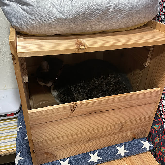 coolcats0528さんの部屋