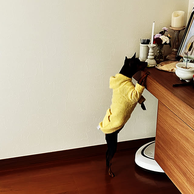 shizuponさんの実例写真
