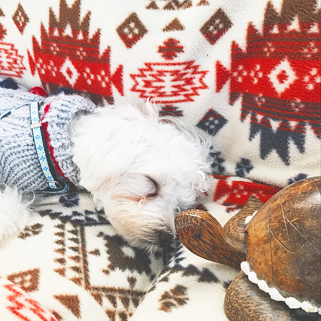 seagirls_maさんの実例写真