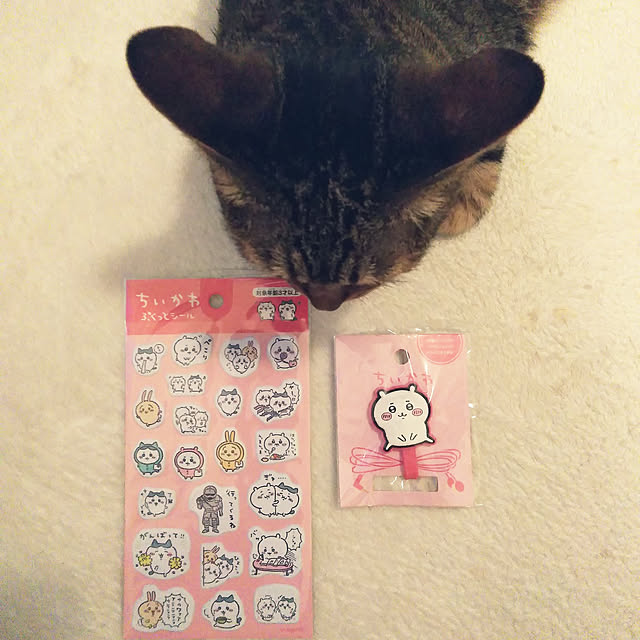 futukoさんの実例写真