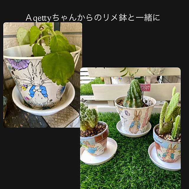 YuuKoさんの部屋