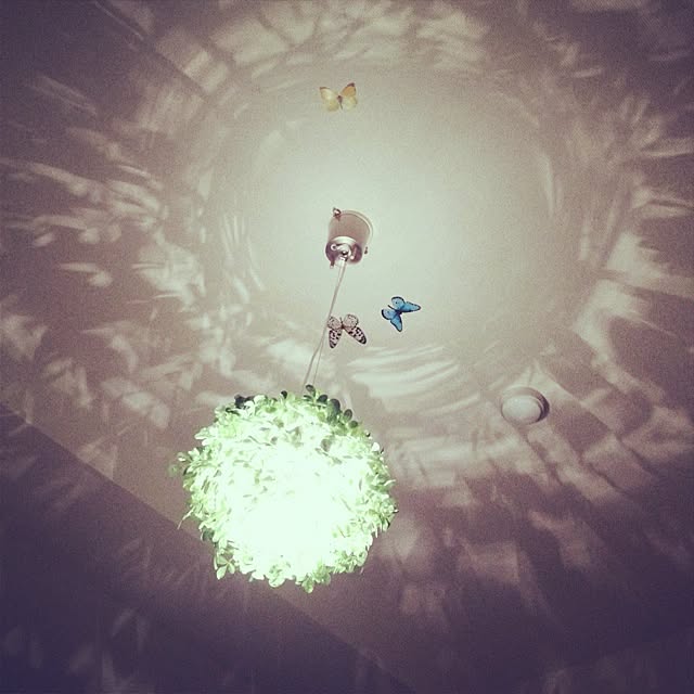 chinapanicさんの実例写真