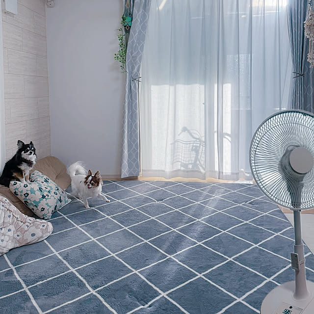 makoさんの実例写真