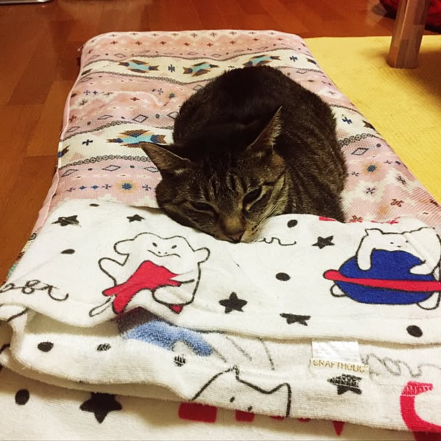 ranranさんの実例写真