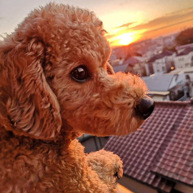 DJ-SIGURさんの実例写真